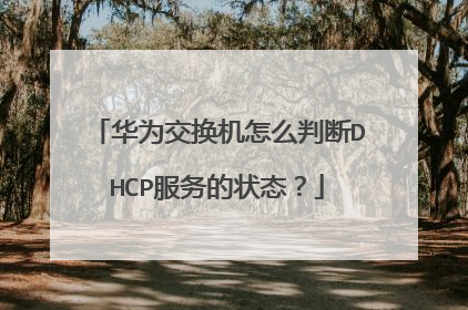 华为交换机怎么判断DHCP服务的状态?