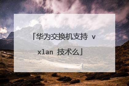 华为交换机支持 vxlan 技术么