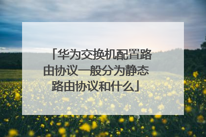 华为交换机配置路由协议一般分为静态路由协议和什么
