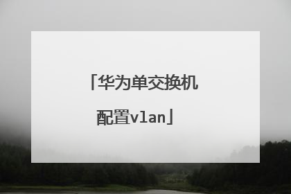 华为单交换机配置vlan