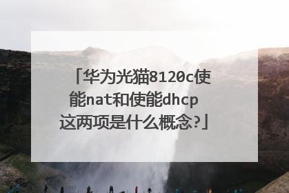 华为光猫8120c使能nat和使能dhcp这两项是什么概念?