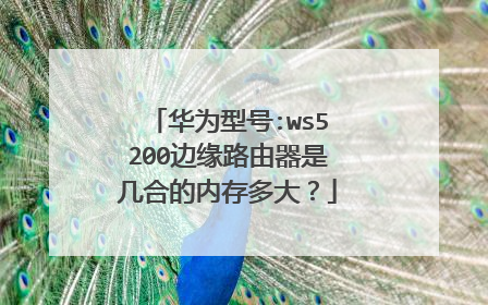 华为型号:ws5200边缘路由器是几合的内存多大?