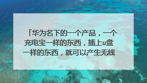 华为名下的一个产品，一个充电宝一样的东西，插上u盘一样的东西，就可以产生无线网，这个产品是什么?_