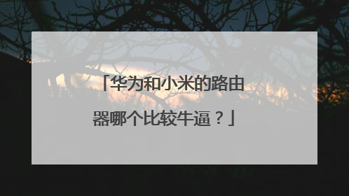 华为和小米的路由器哪个比较牛逼?