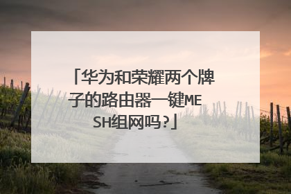 华为和荣耀两个牌子的路由器一键MESH组网吗?