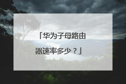 华为子母路由器速率多少?
