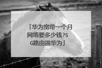 华为宽带一个月网络要多少钱?5G路由器华为