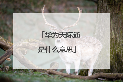 华为天际通是什么意思