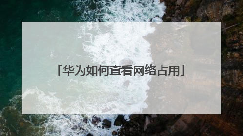 华为如何查看网络占用