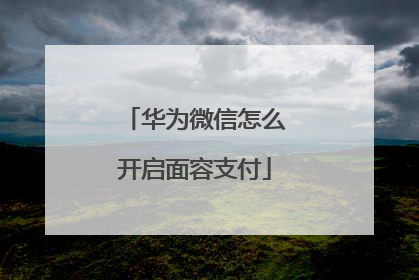 华为微信怎么开启面容支付