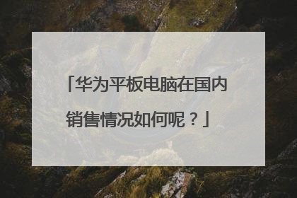 华为平板电脑在国内销售情况如何呢?