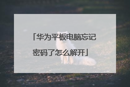 华为平板电脑忘记密码了怎么解开