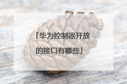 华为控制器开放的接口有哪些