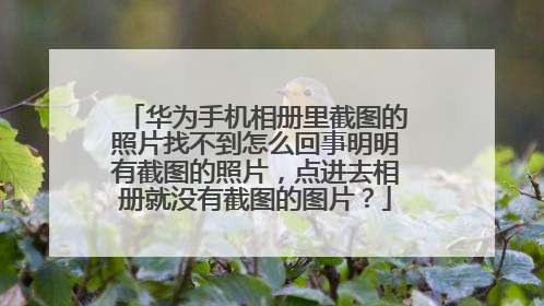 华为手机相册里截图的照片找不到怎么回事明明有截图的照片,点进去相册就没有截图的图片?