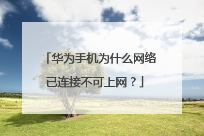 华为手机为什么网络已连接不可上网？
