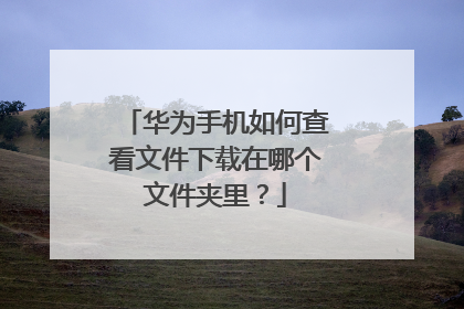华为手机如何查看文件下载在哪个文件夹里?