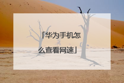 华为手机怎么查看网速