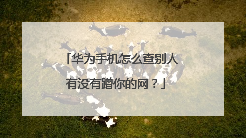 华为手机怎么查别人有没有蹭你的网?