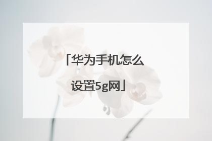 华为手机怎么设置5g网