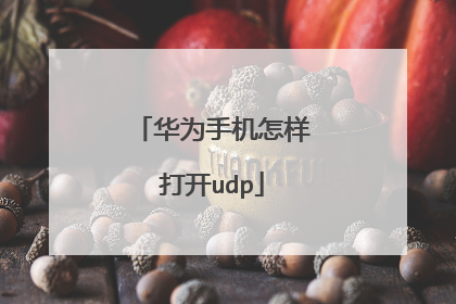 华为手机怎样打开udp
