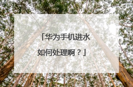 华为手机进水如何处理啊?