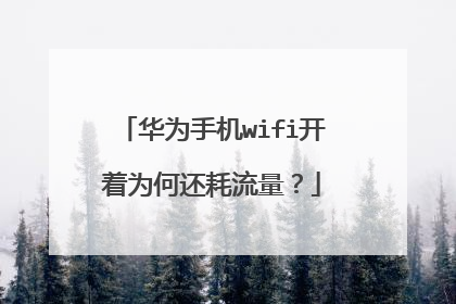 华为手机wifi开着为何还耗流量?