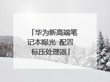 华为新高端笔记本曝光 配置标压处理器