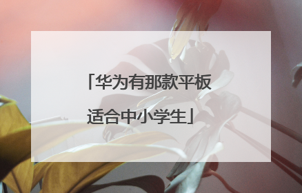 华为有那款平板适合中小学生