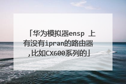 华为模拟器ensp 上有没有ipran的路由器,比如CX600系列的
