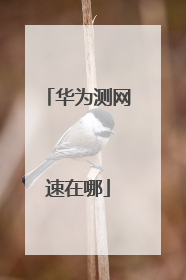 华为测网速在哪