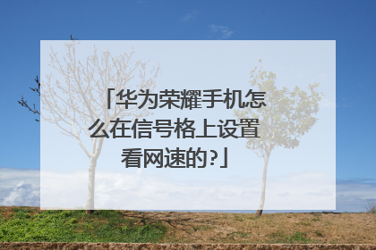 华为荣耀手机怎么在信号格上设置看网速的?