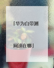 华为自带测网速在哪