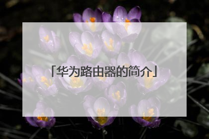 华为路由器的简介