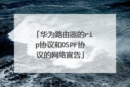 华为路由器的rip协议和OSPF协议的网络宣告