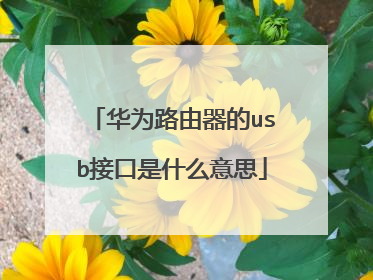 华为路由器的usb接口是什么意思