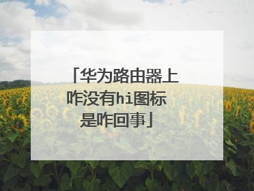 华为路由器上咋没有hi图标是咋回事