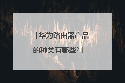 华为路由器产品的种类有哪些?