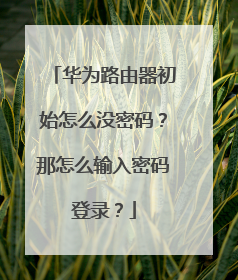 华为路由器初始怎么没密码？那怎么输入密码登录？