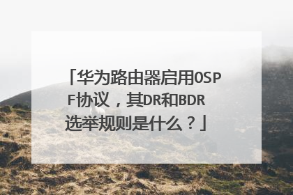 华为路由器启用OSPF协议，其DR和BDR选举规则是什么？