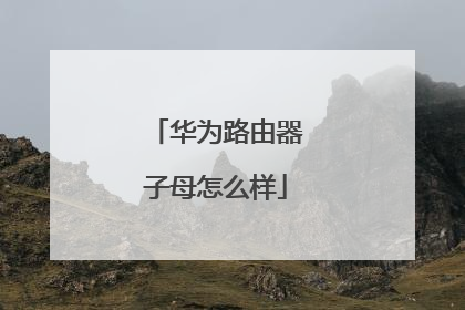 华为路由器子母怎么样