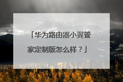 华为路由器小翼管家定制版怎么样?