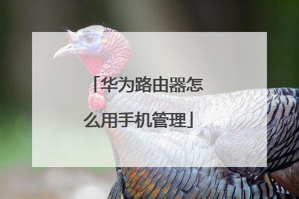 华为路由器怎么用手机管理