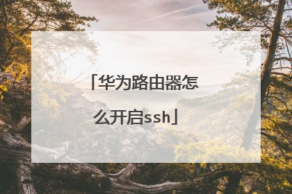 华为路由器怎么开启ssh
