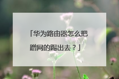 华为路由器怎么把蹭网的踢出去?