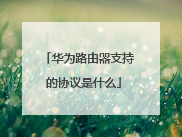 华为路由器支持的协议是什么