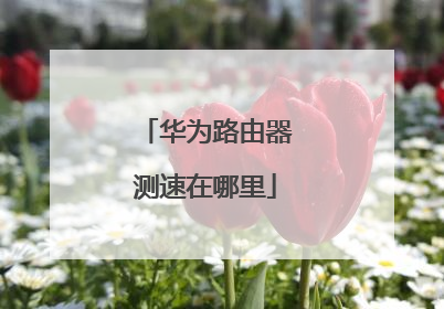 华为路由器测速在哪里