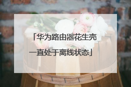 华为路由器花生壳一直处于离线状态