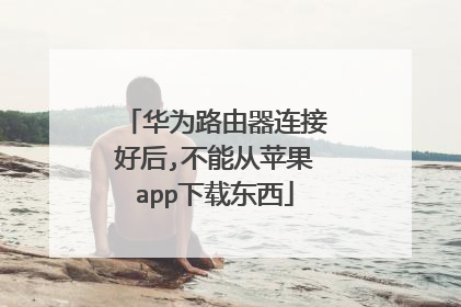 华为路由器连接好后,不能从苹果app下载东西
