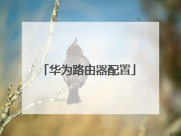 华为路由器配置