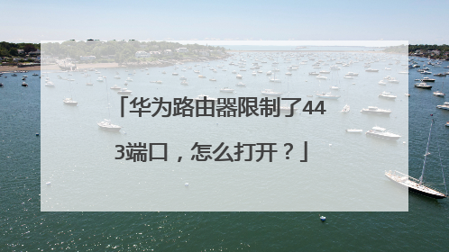 华为路由器限制了443端口，怎么打开？